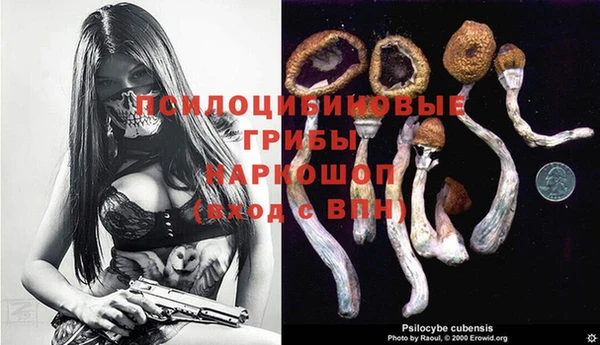 винт Аркадак